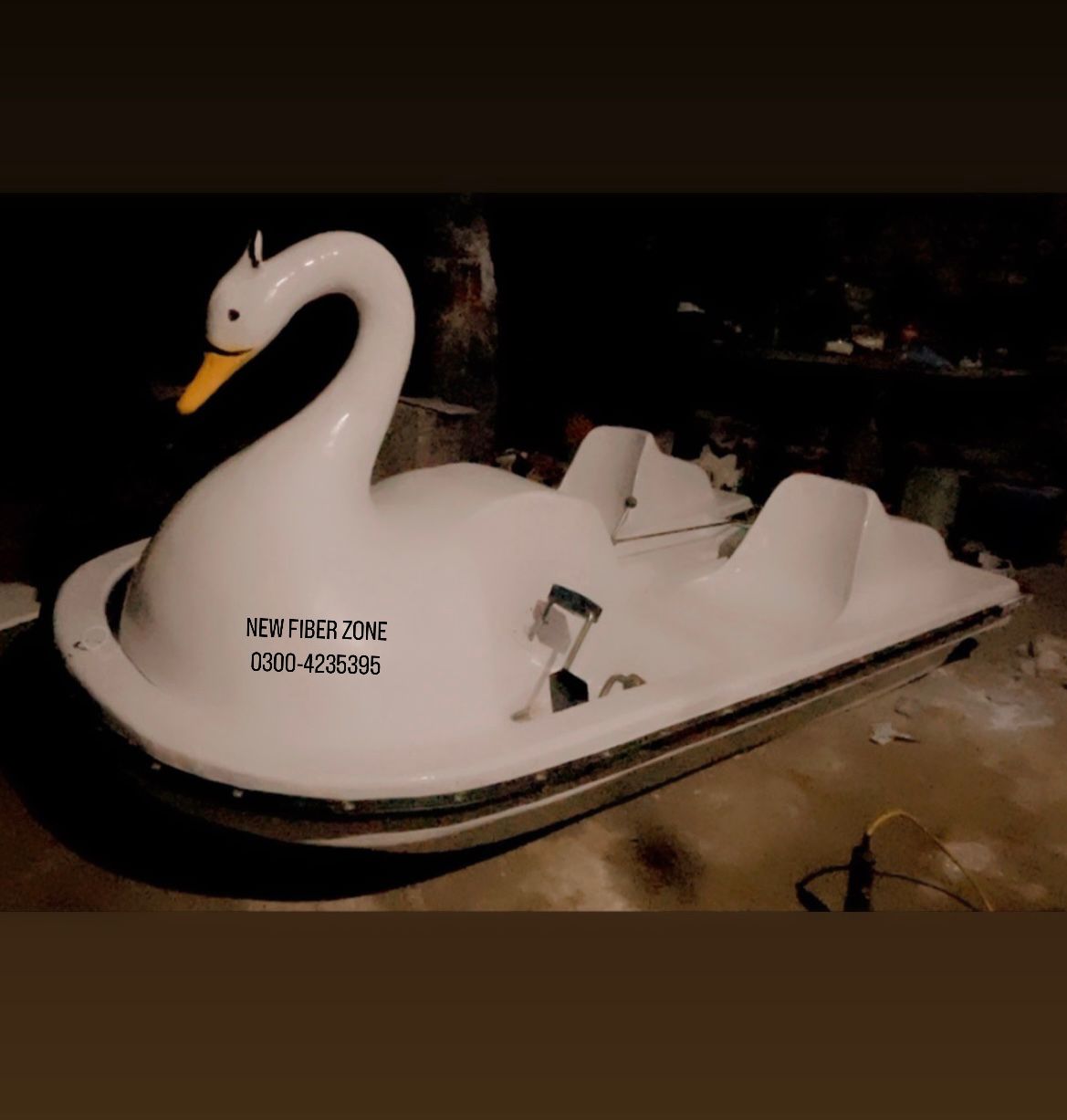 swan paddle boat